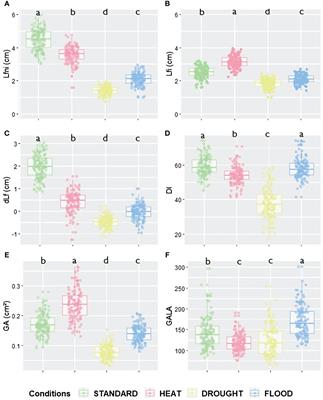 Environmental conditions modulate the effect of epigenetic factors controlling the response of Arabidopsis thaliana to Plasmodiophora brassicae